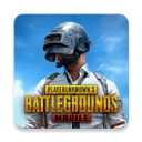 地铁逃生正版(pubg mobile)