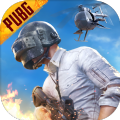 地铁逃生gm服(pubg mobile)