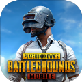 PUBG MOBILE 3.1国际服