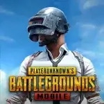 com.tencent.ig(PUBG MOBILE)