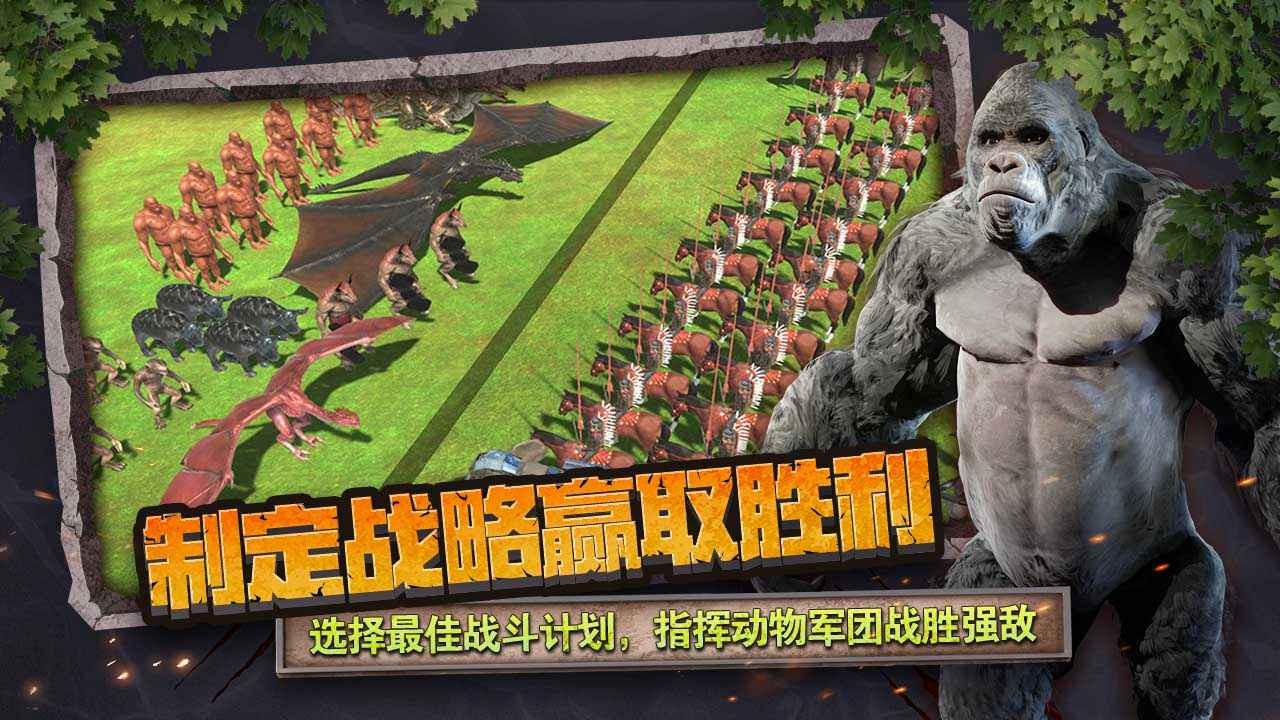 点击查看大图