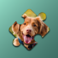 宠物狗狗的拼图挑战(Dogs Mania Jigsaw Puzzles)